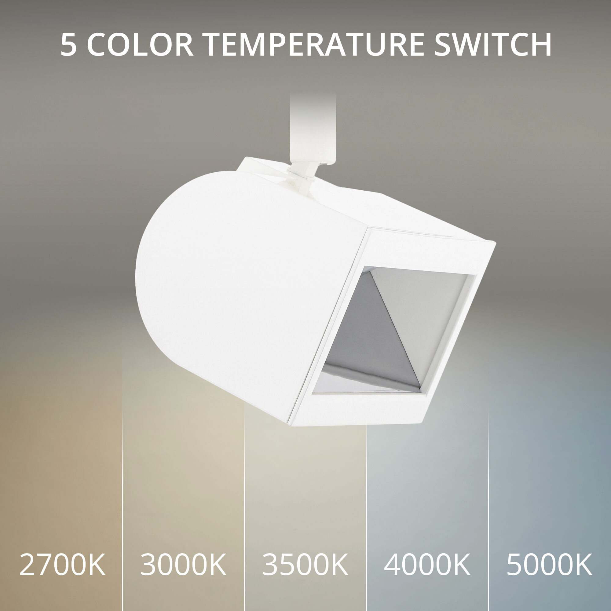 Ocularc White Monopoint in 2700-3000-3500-4000-5000K