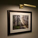 Hemmingway 9.40 watt 14 inch Polished Nickel Picture Light Wall Light, dweLED