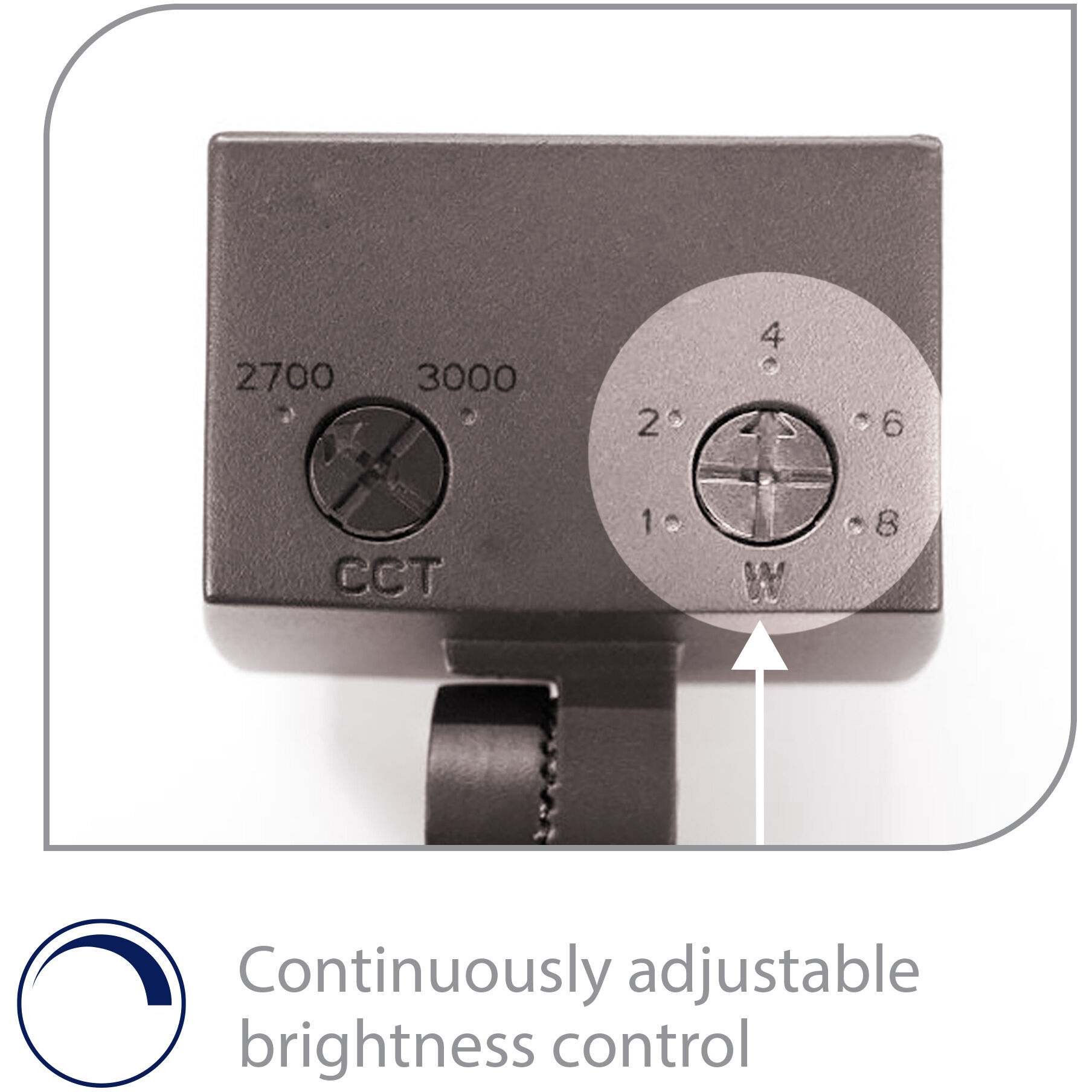 Tyler Solid Brass Coated in Bronze 8 watt LED Spot and Flood Lighting, WAC Landscape