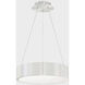 Corso LED 18 inch Brushed Aluminum Pendant Ceiling Light, dweLED