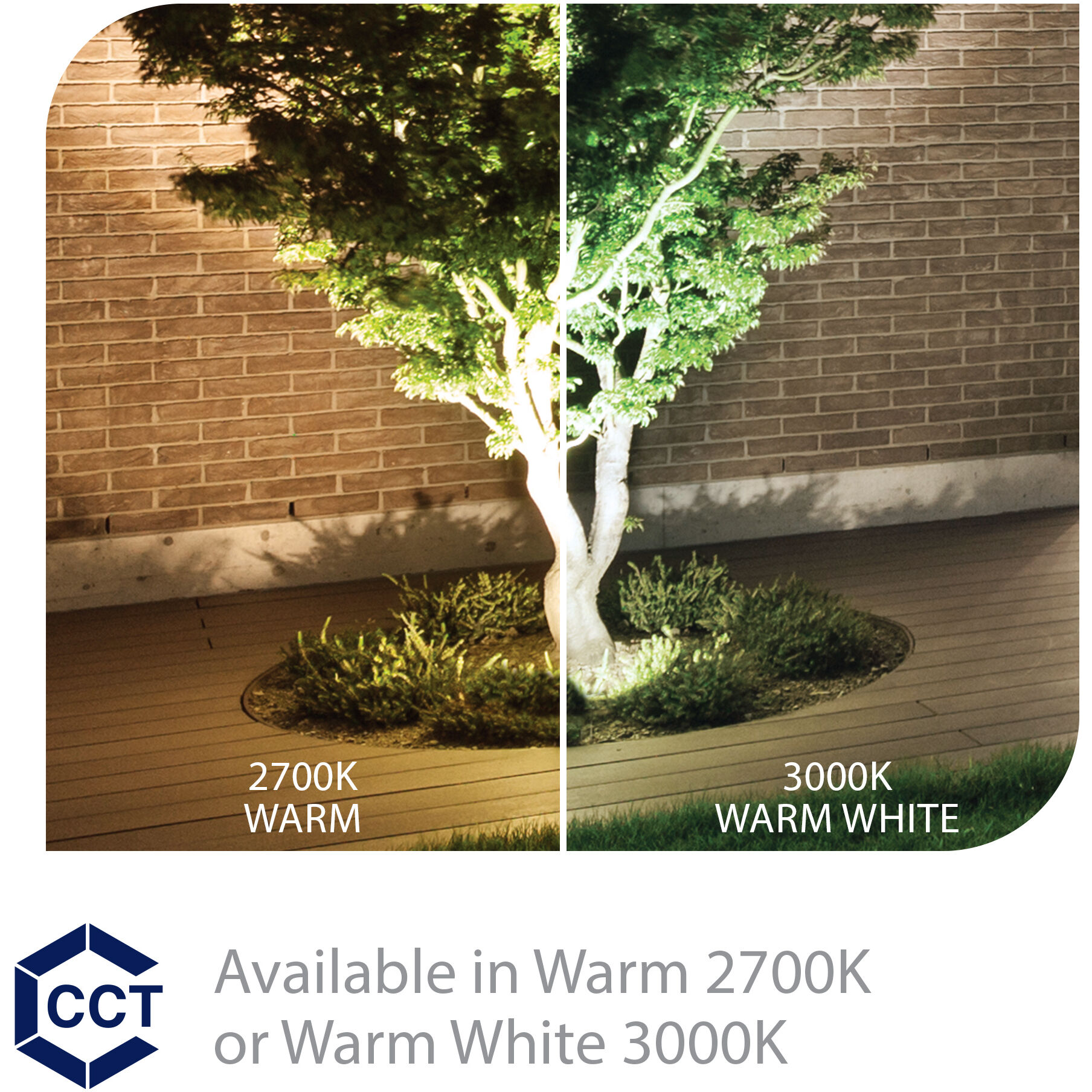 Tyler Black 18 watt LED Spot and Flood Lighting in 3000K, WAC Landscape