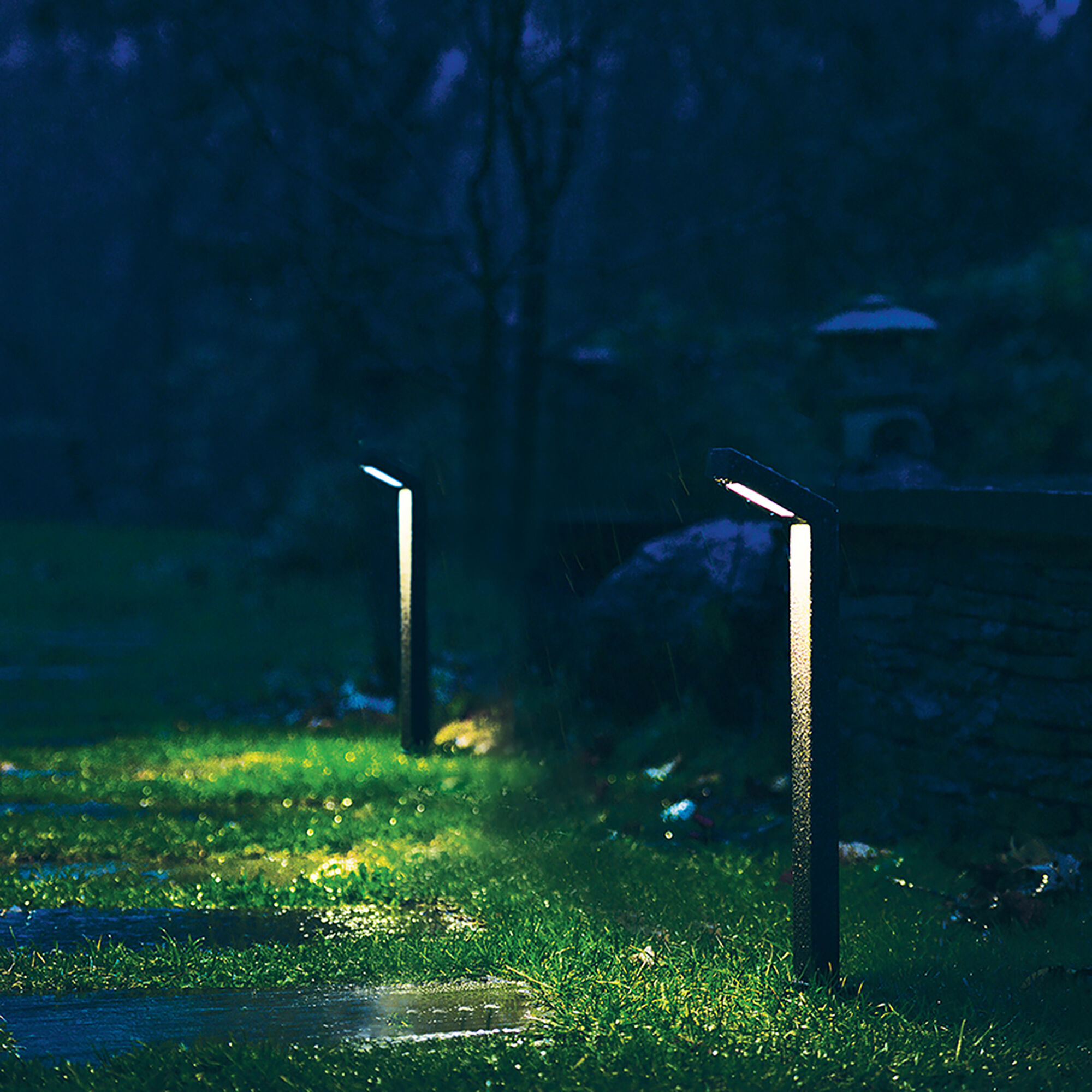 WAC Lighting 6021 30BK Tyler 12 2.9 watt Black Path Lighting in 3000K Path and Area Light WAC Landscape