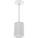 Tube Arch LED 5 inch White Outdoor Pendant in Narrow, 85, 4000K