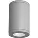 Tube Arch LED 4.88 inch Graphite Outdoor Flush in Spot, 85, 4000K