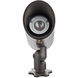 InterBeam Black 6.00 watt LED Spot and Flood Light, Low Voltage Accent Light, WAC Landscape