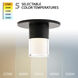 Twist-N-Lite LED 5 inch Black Flush Mount Ceiling Light