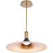 Cochere LED 18 inch Black Gold Aged Brass Pendant Ceiling Light, dweLED