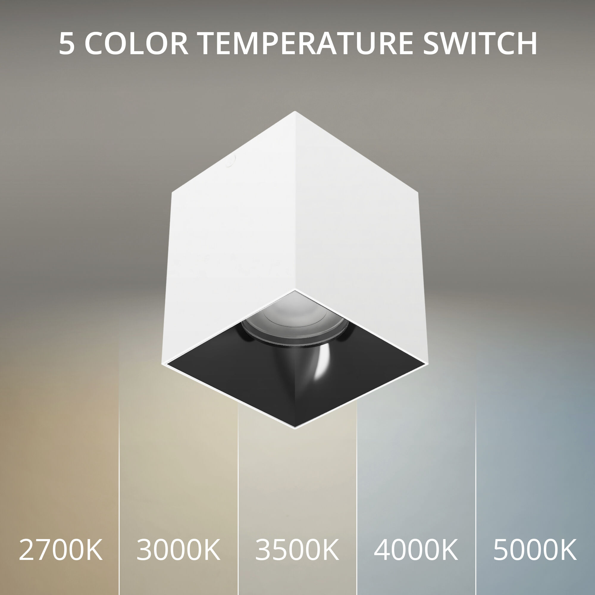 Zoron LED 3.63 inch White and Black Outdoor Ceiling Lighting in White/Black