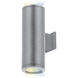 Tube Arch LED 12.5 inch Graphite Outdoor Wall Light