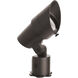 Tyler Bronze 18 watt LED Spot and Flood Lighting in 4000K, Low Voltage Accent Light, WAC Landscape