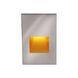 Tyler 120 3.8 watt Stainless Steel Step and Wall Lighting in Amber, WAC Lighting