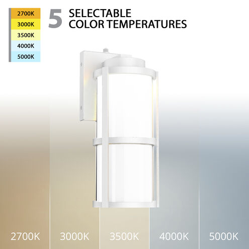 Lantern LED 14 inch White Outdoor Wall Light