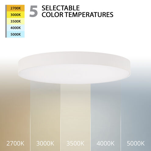 Edgeless Round LED 8 inch White Flush Mount Ceiling Light
