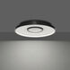 Pinpoint LED 16.38 inch Black Flush Mount Ceiling Light in 4000K, dweLED