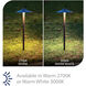Canopy 12 6.5 watt Solid Brass Coated in Bronze Path Lighting in 3000K, Bronzed Brass, Path and Area Light, WAC Landscape