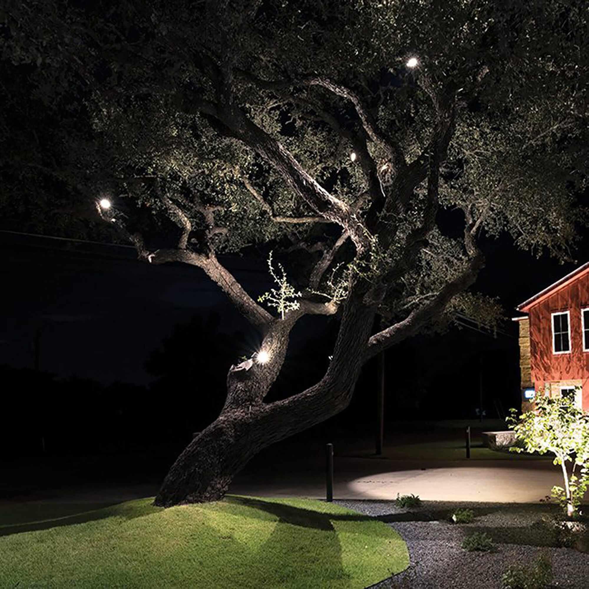 Tyler Black 35 watt LED Spot and Flood Lighting in 2700K Low Voltage Accent Light WAC