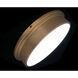 York LED 8 inch Aged Brass Flush Mount Ceiling Light, dweLED