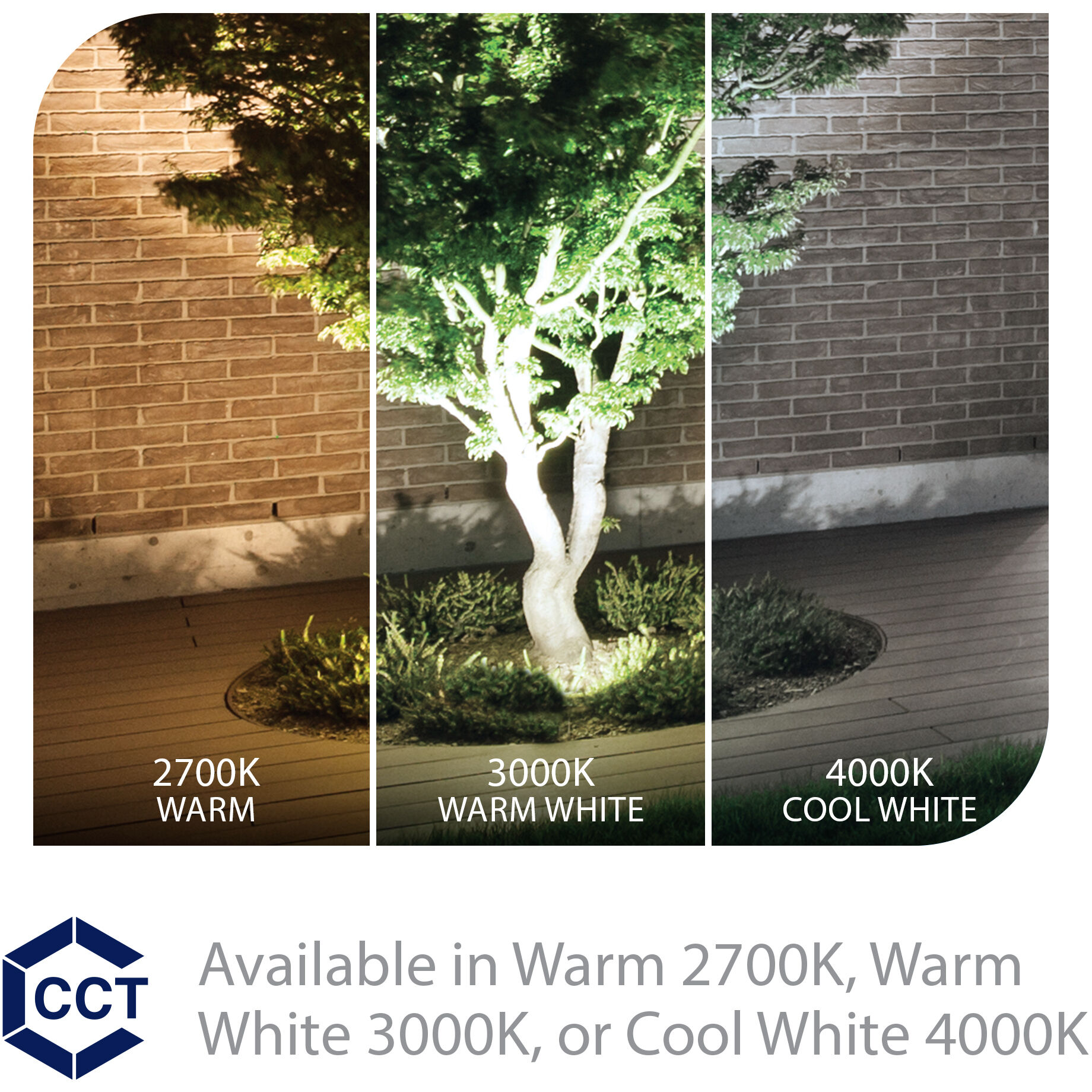 Tyler Black 18 watt LED Spot and Flood Lighting in 2700K, Low Voltage Accent Light, WAC Landscape