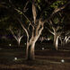 WAC 12V Accent Light Solid Brass Coated in Bronze Low Voltage Accent Light in 2700K Warm LED, WAC Landscape