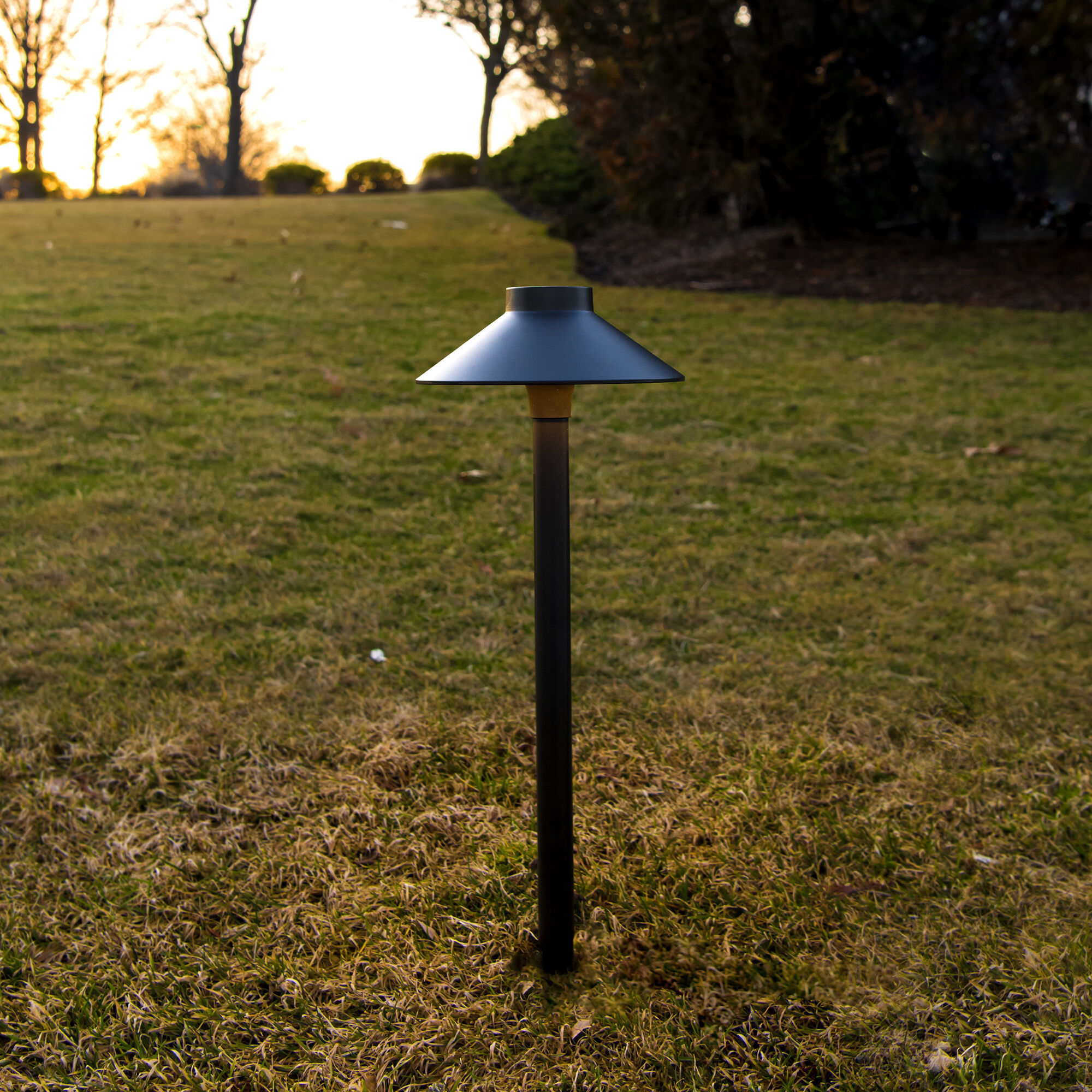 Tiki 12 6.5 watt Bronze Path Lighting in 3000K, Bronze on
