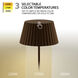 Pleat 14.75 inch 2 watt Bronze Rechargeable Table Lamp Portable Light