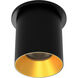 Zoron LED 3.63 inch Black and Gold Outdoor Ceiling Lighting in Black/Gold