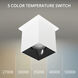 Zoron LED 3.63 inch White and Black Outdoor Ceiling Lighting in White/Black