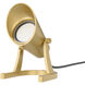 WAC Submersible Spot Light Natural Brass LED Spot Light in 3in, Colorscaping