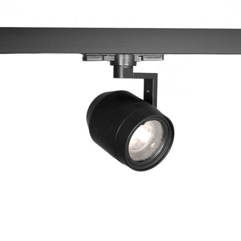 Paloma 1 Light 277 Black Track Accessory Ceiling Light in 3000K