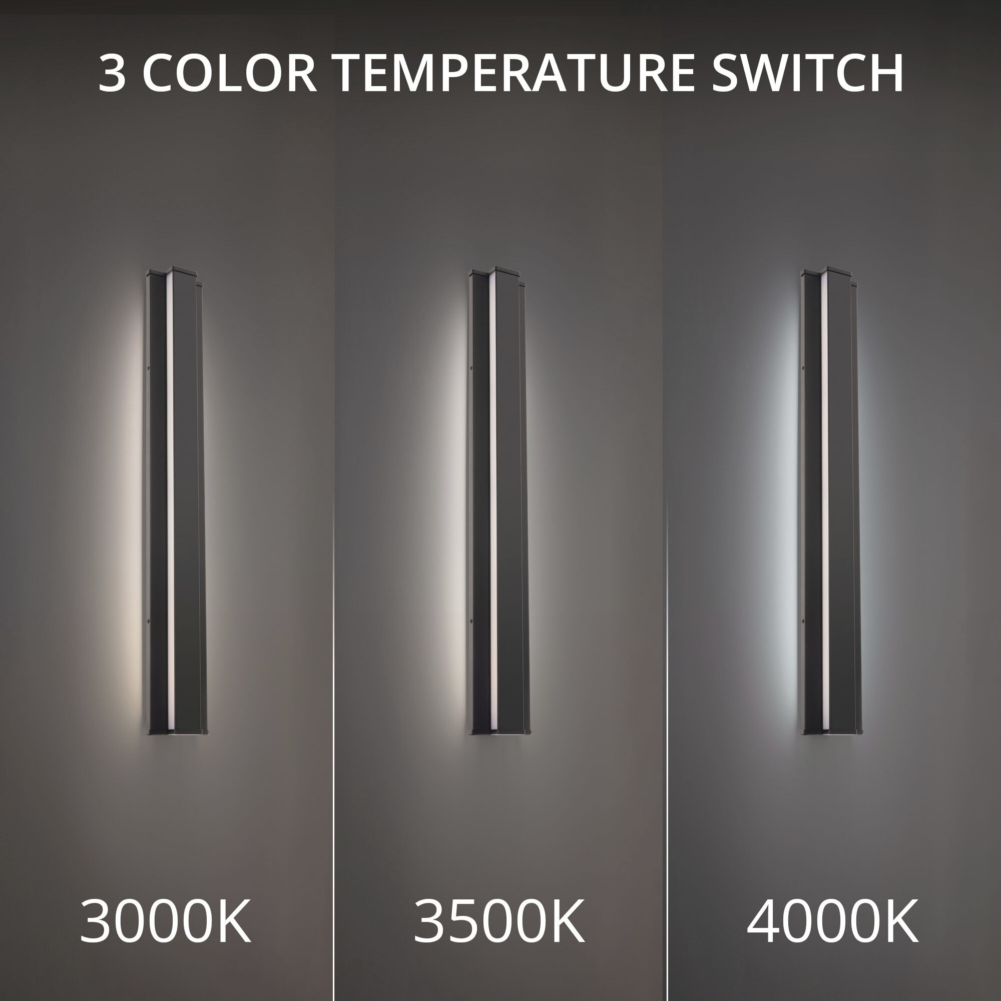 Revels LED 36 inch Black Outdoor Wall Light in 3500K, dweLED