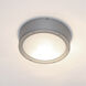 Tube LED 12 inch Graphite Outdoor Flush