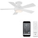 Odyssey 44.00 inch Indoor Ceiling Fan