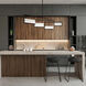 Quartet Linear Pendant Ceiling Light, dweLED