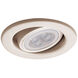 WAC Brushed Nickel Trim