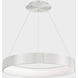 Corso LED 31.5 inch Brushed Aluminum Pendant Ceiling Light in 32in, dweLED
