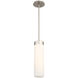 Elementum LED 4.5 inch Satin Nickel Pendant Ceiling Light in 3000K, dweLED