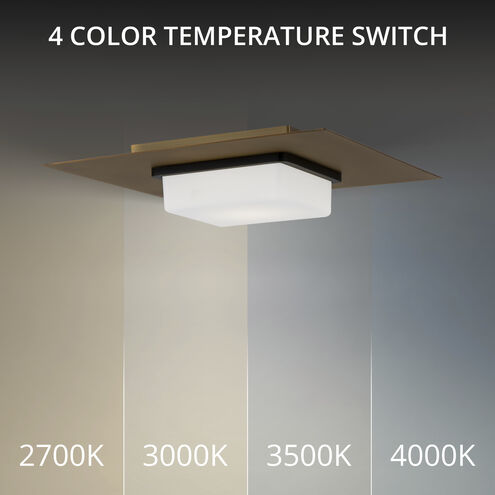 Double Decker LED 14 inch Black Aged Brass Flush Mount Ceiling Light in 3500K, dweLED