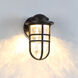 Steampunk LED 9.5 inch Bronze Outdoor Wall Light, dweLED