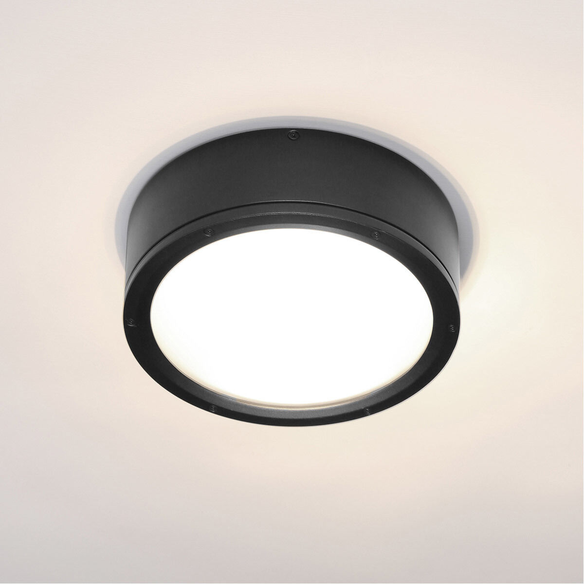 Tube LED 12 inch Black Outdoor Flush