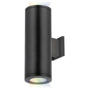 Tube Arch LED 13 inch Graphite Outdoor Wall Light in 85, Spot, Color Changing, Straight Up/Down