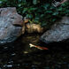 WAC Submersible Indicator Light 12 4 watt Stainless Steel Path Indicator Light, WAC Landscape
