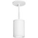 Tube Arch LED 5 inch White Outdoor Pendant in Flood, 85, 4000K