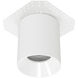 Zoron LED 3.63 inch White Outdoor Ceiling Lighting