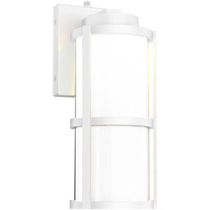 Lantern LED 14 inch White Outdoor Wall Light