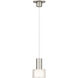 Twist-N-Lite LED 5 inch Brushed Nickel Mini-Pendant Ceiling Light