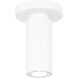 Caliber 7 Light 2.63 inch Flush Mount