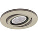 WAC Brushed Nickel Trim