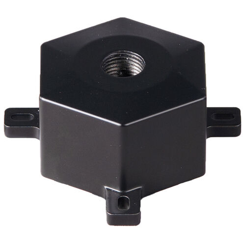 Tyler Black Mounting Accessory, WAC Landscape