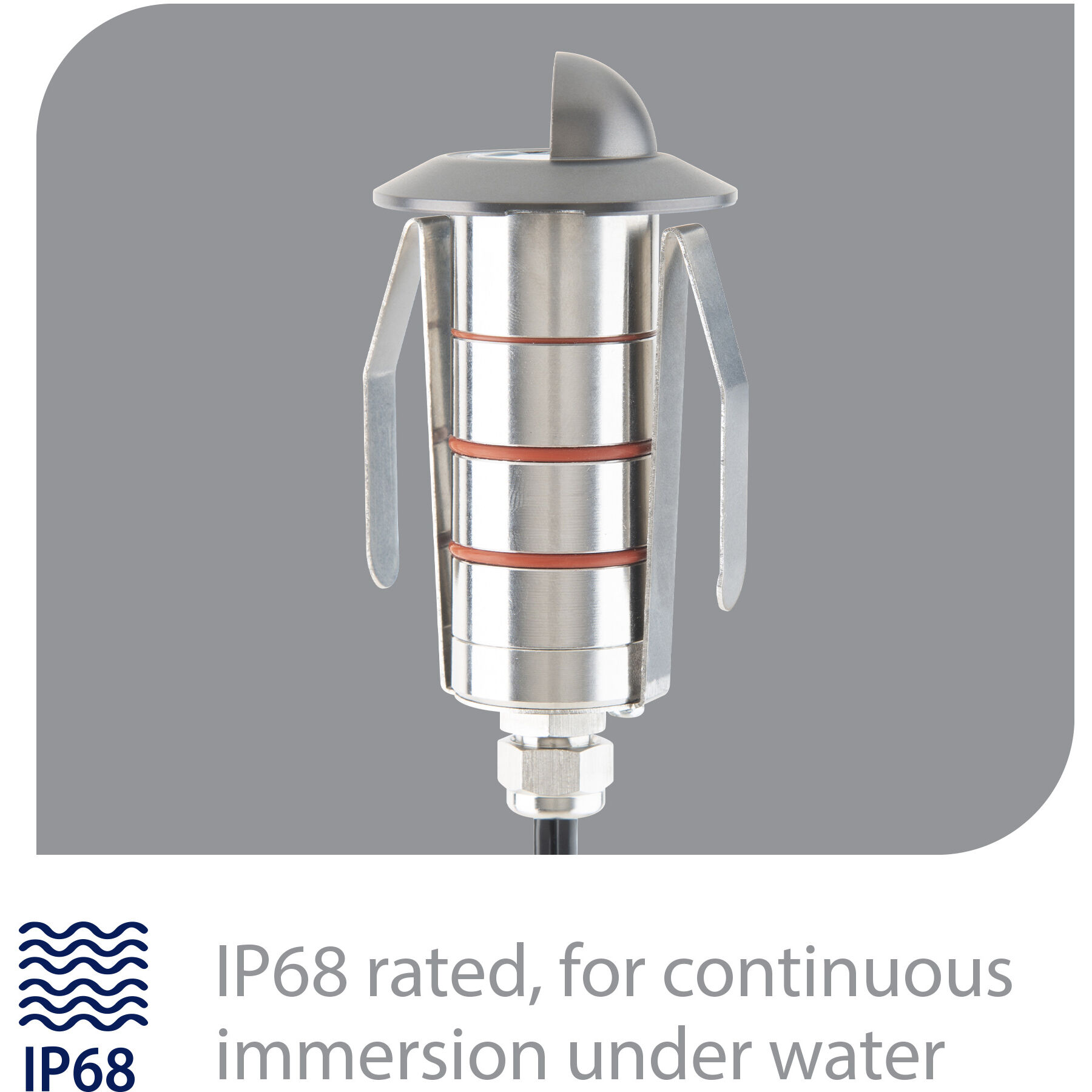 Tyler 12 2 watt Stainless Steel Coated in Bronze Path Lighting in 3000K, Bronzed Stainless Steel, WAC Landscape