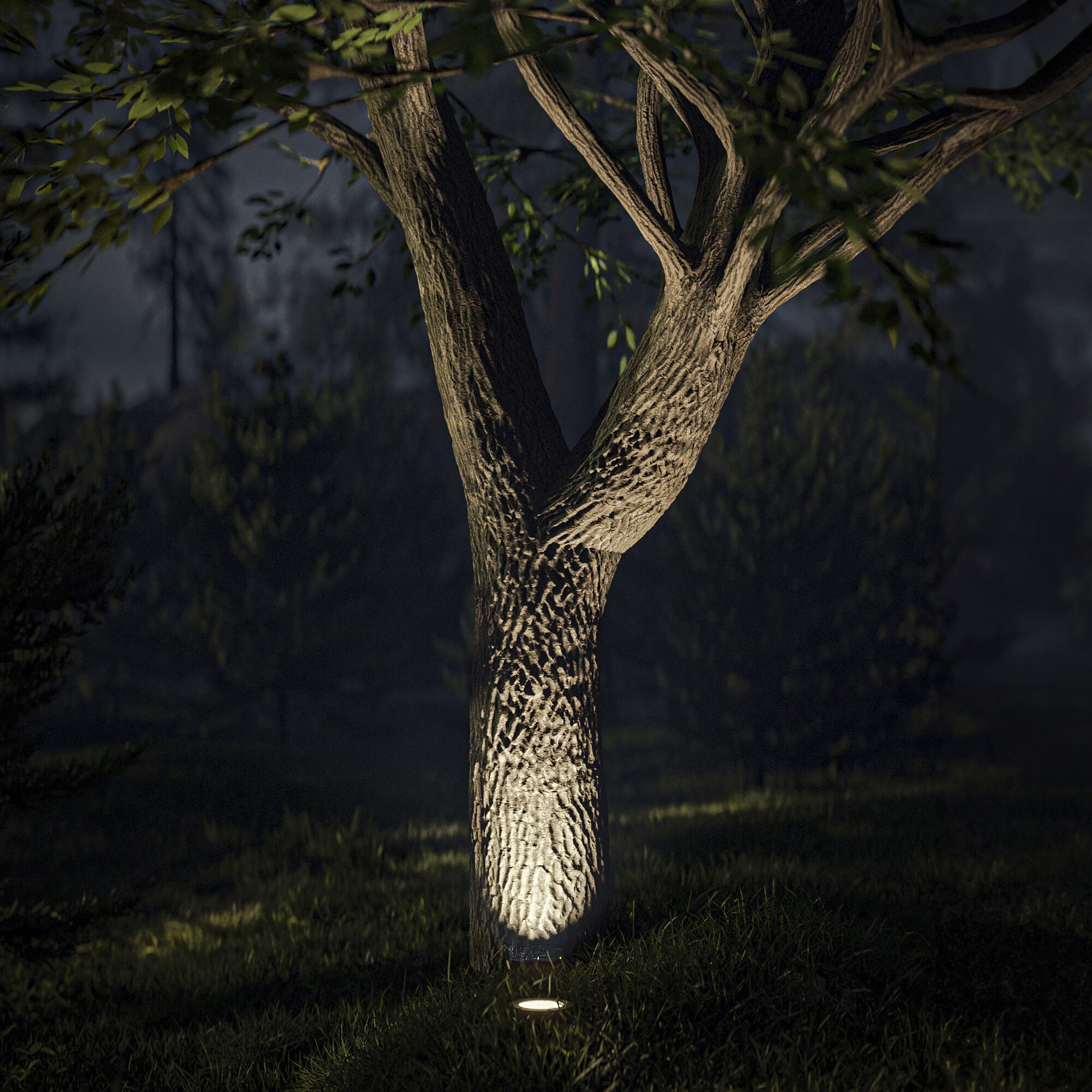 インフィニティストーンのLED インフィニティストーンのLED